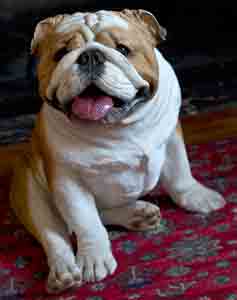 Free Barbara Lynn Bareauther